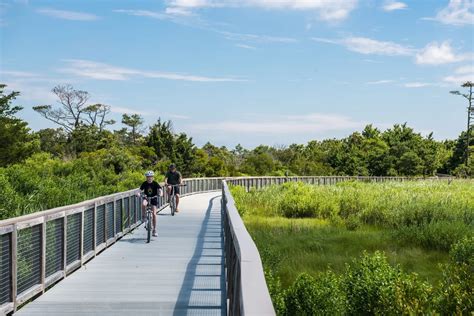 The Woods at Arnell Creek