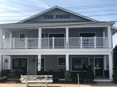 The Pines